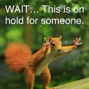 4-8. Vibrant Cat Family Diamond Art Kit